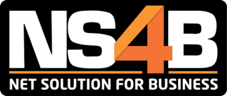NS4B Logo